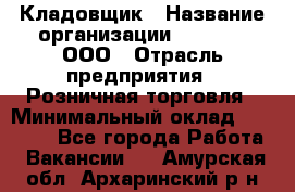 Кладовщик › Название организации ­ O’stin, ООО › Отрасль предприятия ­ Розничная торговля › Минимальный оклад ­ 17 200 - Все города Работа » Вакансии   . Амурская обл.,Архаринский р-н